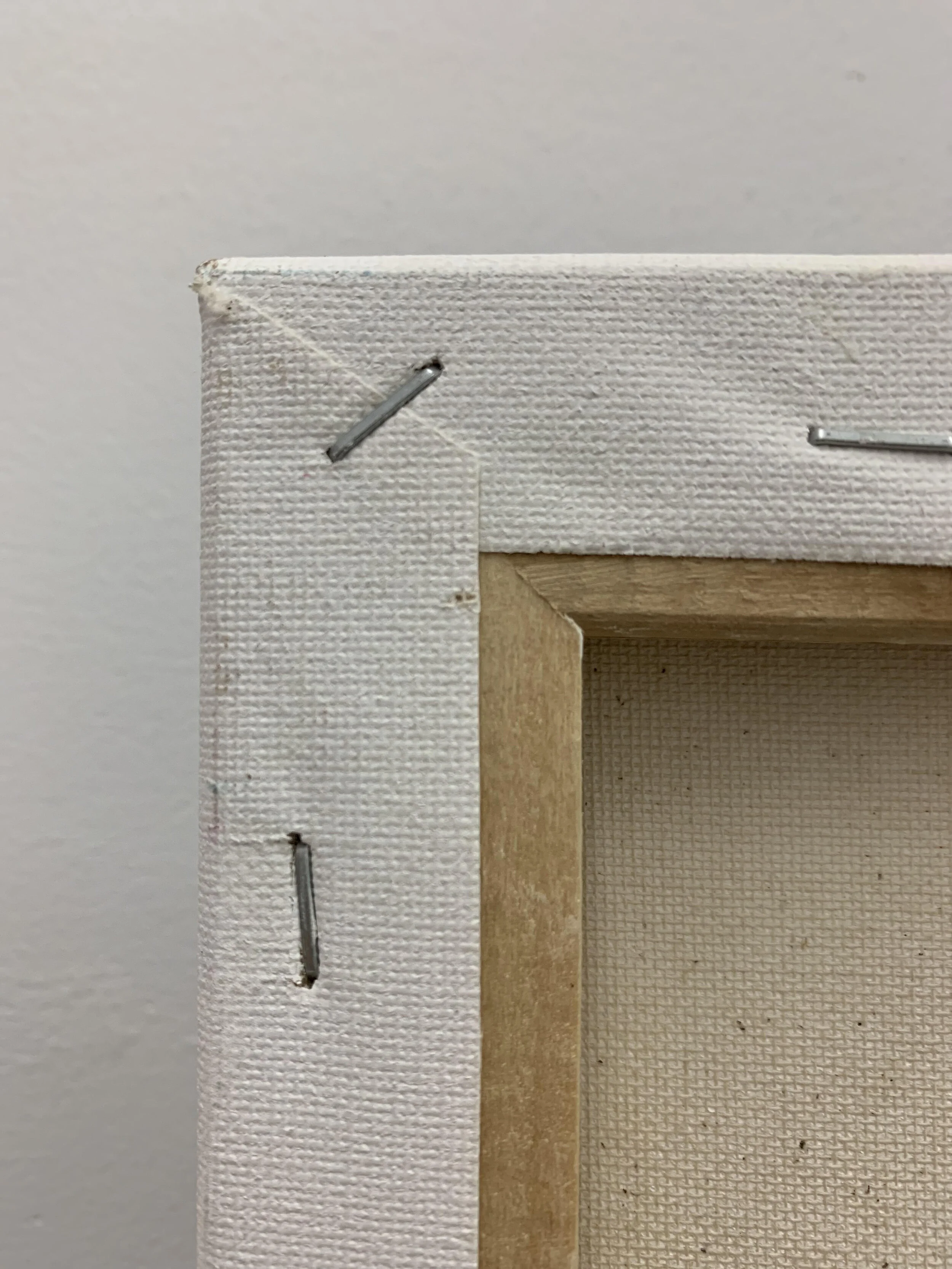 Coral — HerColoringBox